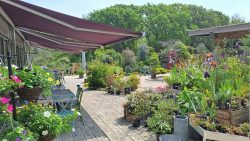Shallowmead Nurseries
