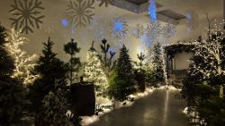 Woodland Ice Cave at Shallowmead