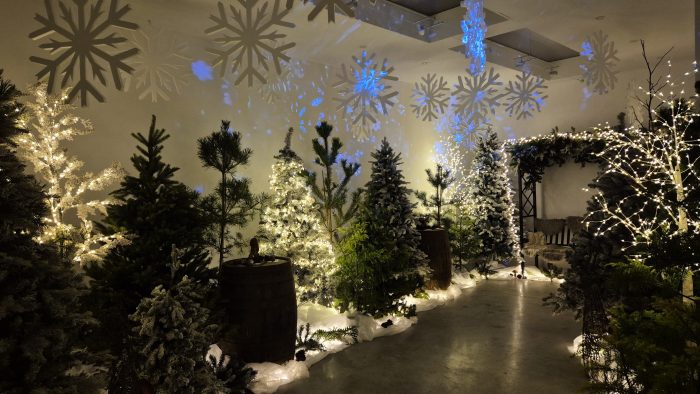 Woodland Ice Cave at Shallowmead