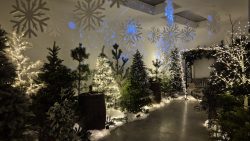 Ice Cave at Shallowmead