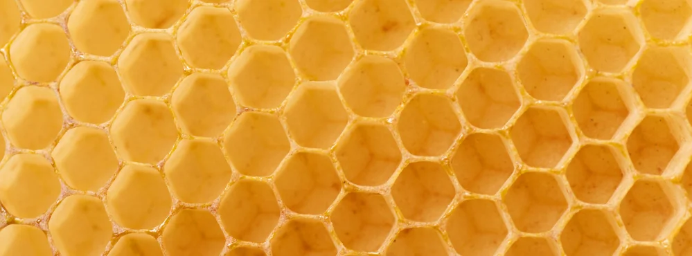 Close detail of golden honeycomb cells
